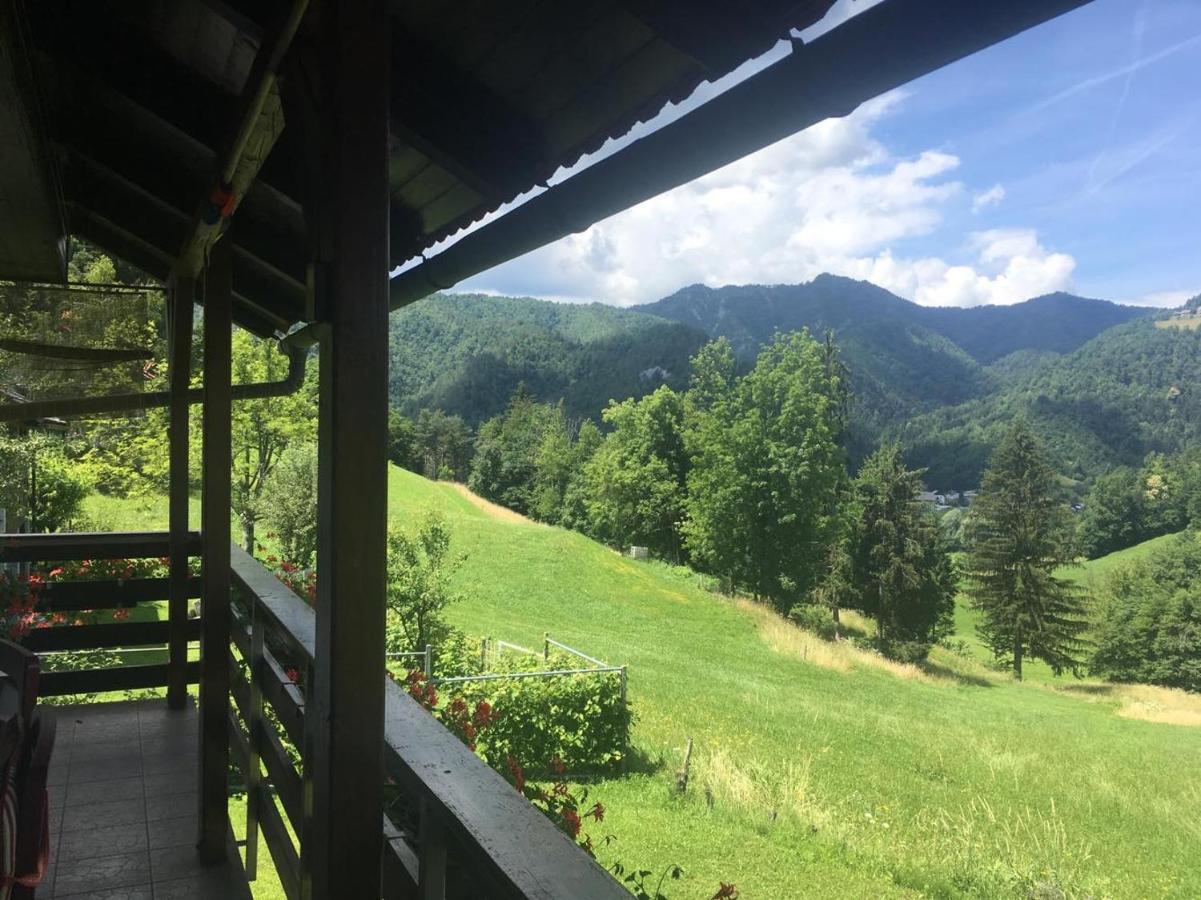 B&B Cerne Polhov Gradec Buitenkant foto