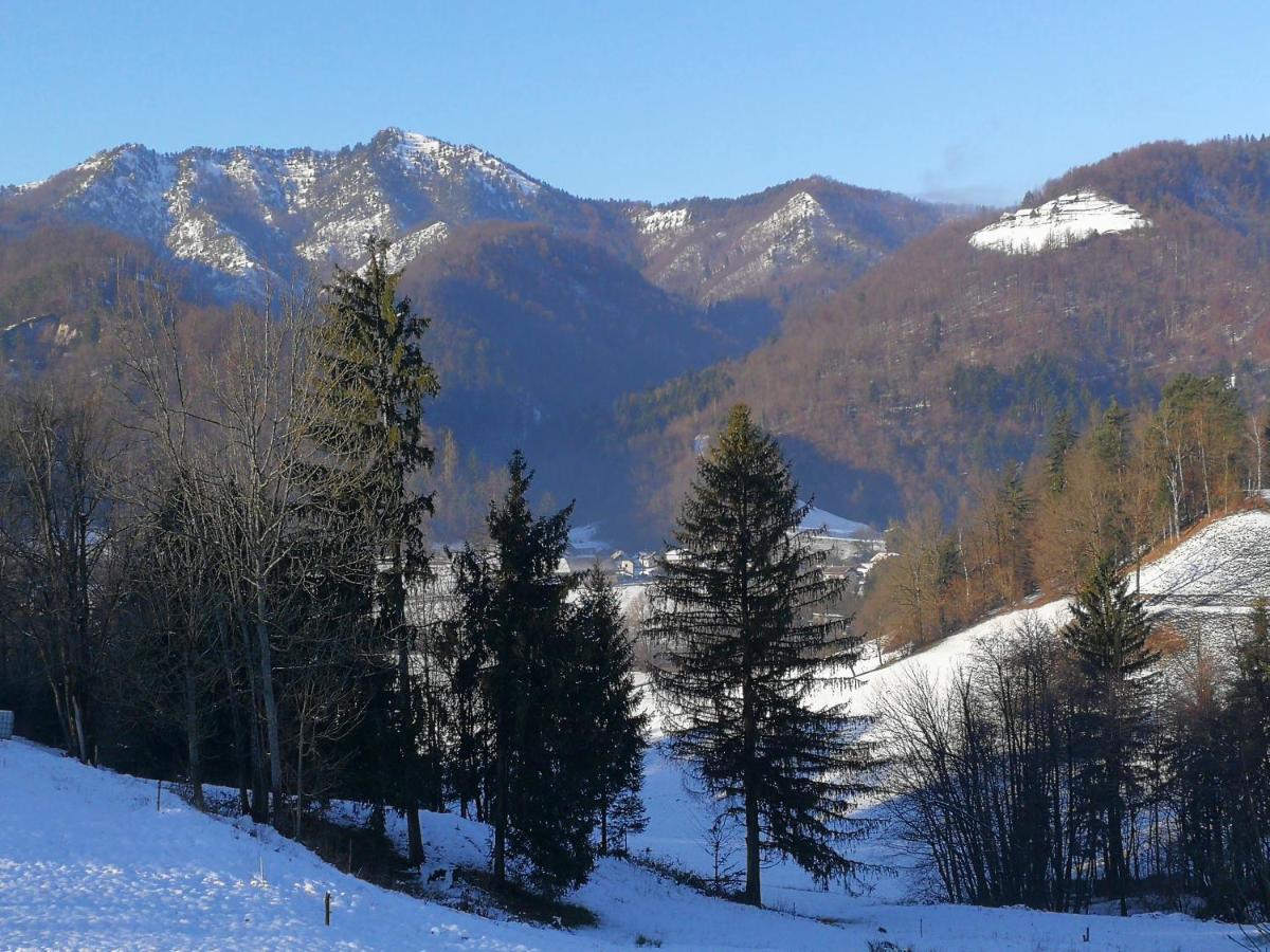 B&B Cerne Polhov Gradec Buitenkant foto