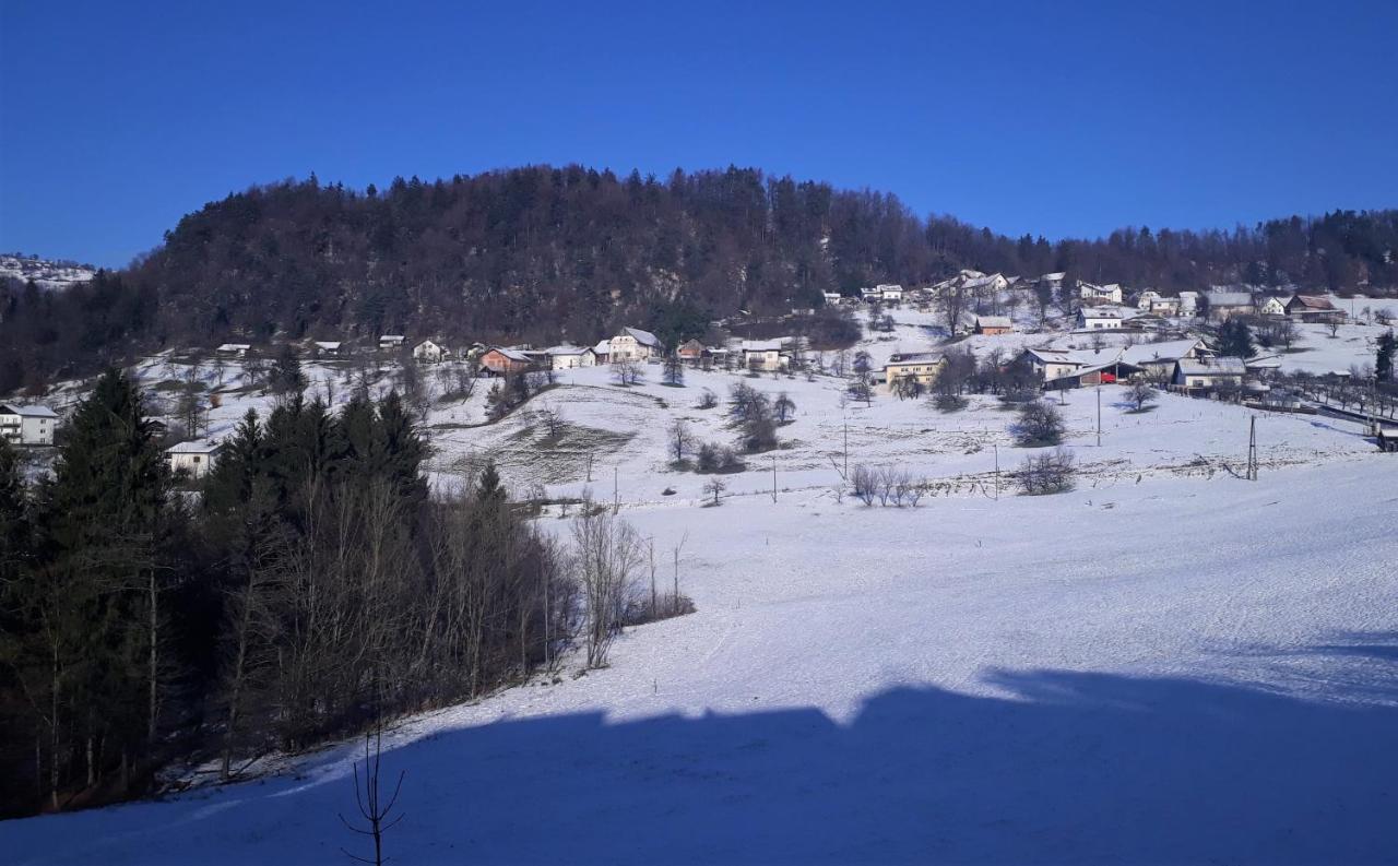 B&B Cerne Polhov Gradec Buitenkant foto
