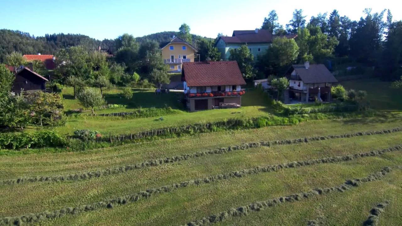 B&B Cerne Polhov Gradec Buitenkant foto