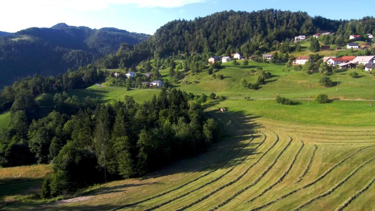 B&B Cerne Polhov Gradec Buitenkant foto